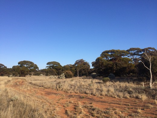 Hearts Across Australia Week 03 photo from 4 Jun 2015.