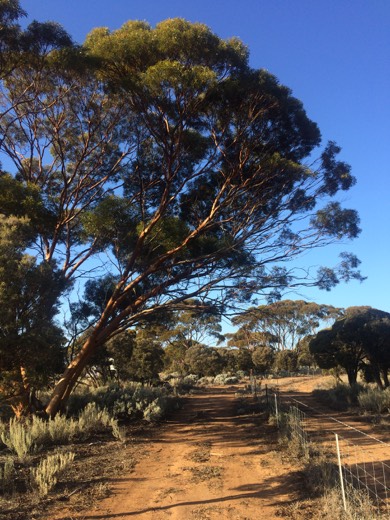 Hearts Across Australia Week 03 photo from 4 Jun 2015.