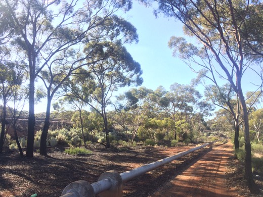 Hearts Across Australia Week 03 photo from 4 Jun 2015.