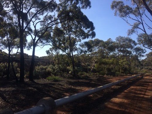Hearts Across Australia Week 03 photo from 4 Jun 2015.