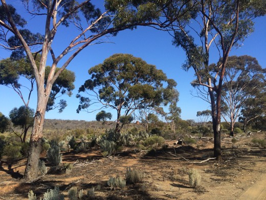 Hearts Across Australia Week 03 photo from 4 Jun 2015.
