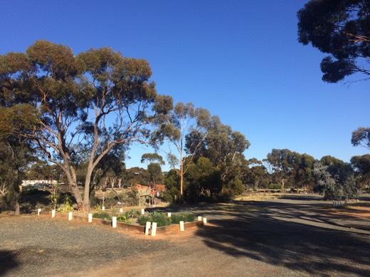 Acclaim Gateway Tourist Park grounds in Norseman