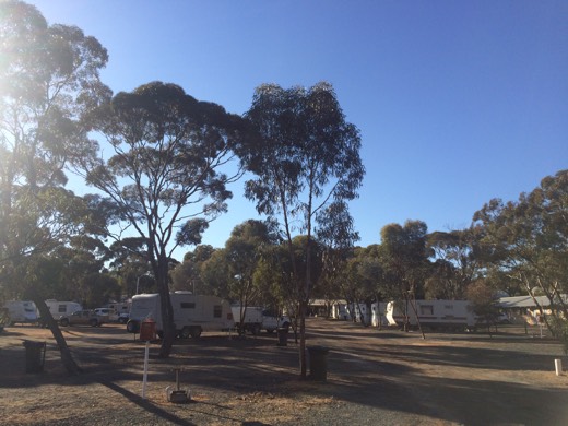 Gateway Tourist Park in Norseman