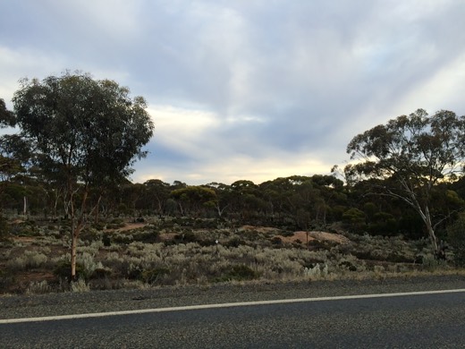 Hearts Across Australia Week 03 photo from 6 Jun 2015.