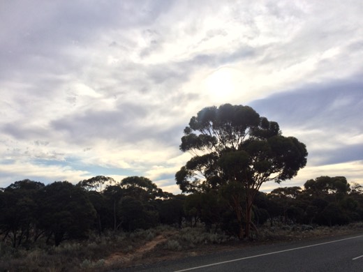 Hearts Across Australia Week 03 photo from 6 Jun 2015.