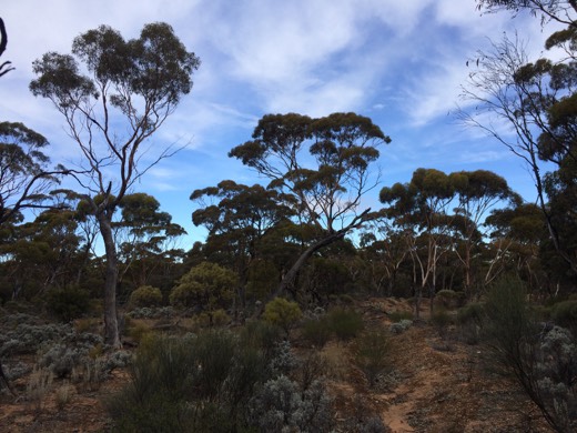 Hearts Across Australia Week 03 photo from 6 Jun 2015.