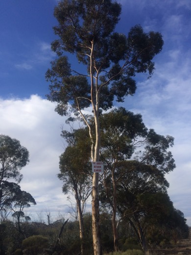 Hearts Across Australia Week 03 photo from 6 Jun 2015.