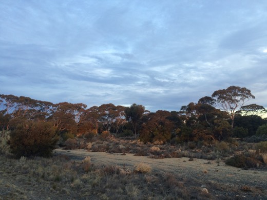 Hearts Across Australia Week 03 photo from 6 Jun 2015.