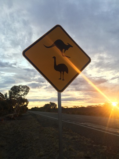 Hearts Across Australia Week 03 photo from 6 Jun 2015.