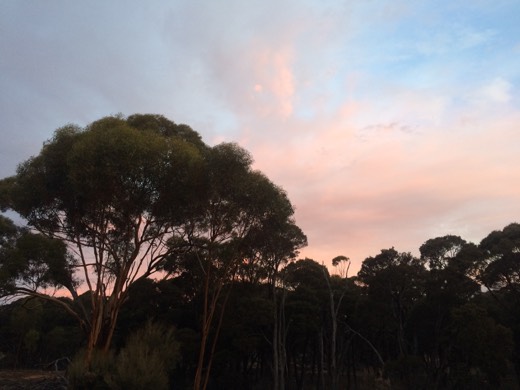 Hearts Across Australia Week 03 photo from 6 Jun 2015.
