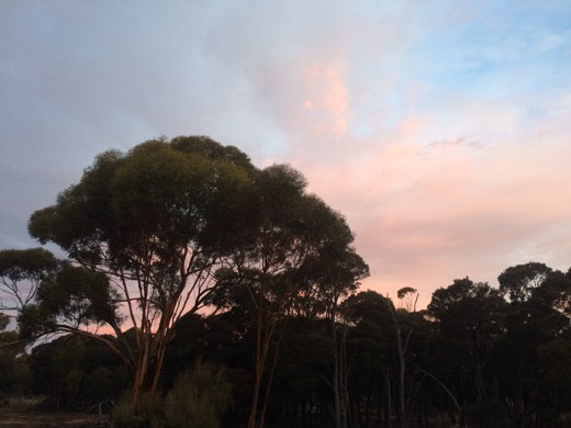 Hearts Across Australia Week 03 photo from 6 Jun 2015.
