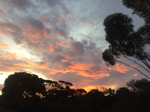 Hearts Across Australia Week 03 photo from 6 Jun 2015.