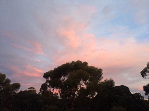 Hearts Across Australia Week 03 photo from 6 Jun 2015.