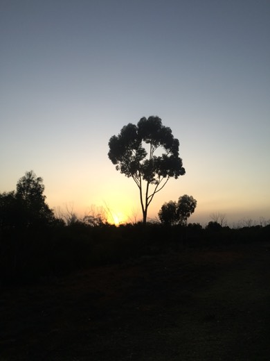 Hearts Across Australia Week 04 photo from 7 Jun 2015.