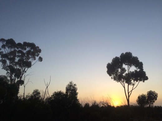 Hearts Across Australia Week 04 photo from 7 Jun 2015.