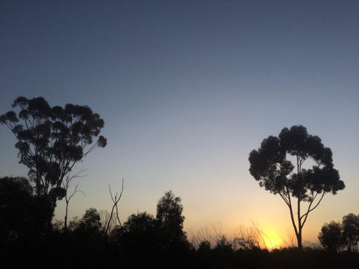 Hearts Across Australia Week 04 photo from 7 Jun 2015.