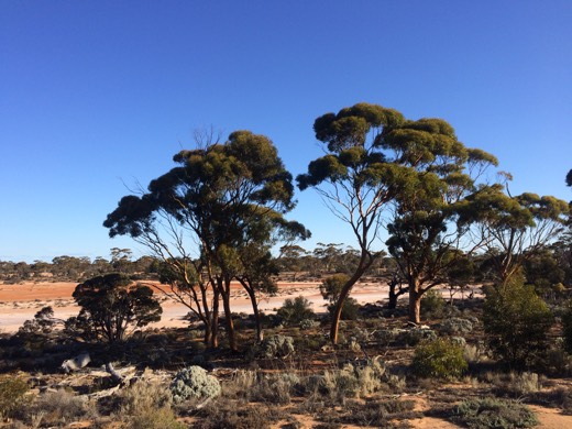 Hearts Across Australia Week 04 photo from 7 Jun 2015.