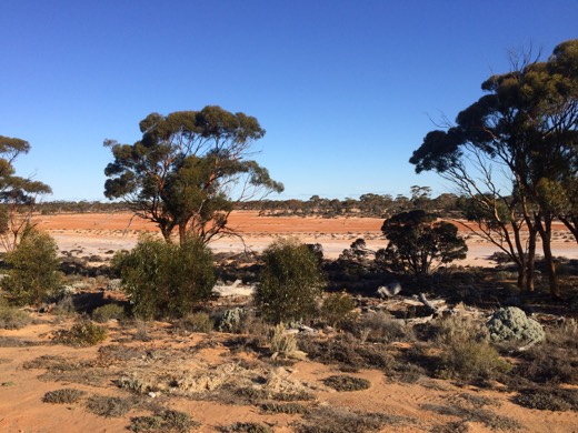 Hearts Across Australia Week 04 photo from 7 Jun 2015.