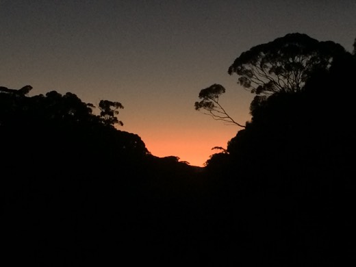Dark sunrise silhouettes over trees near the Fraser Range