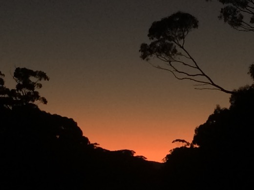 Hearts Across Australia Week 04 photo from 8 Jun 2015.