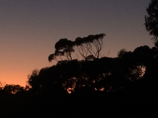 Hearts Across Australia Week 04 photo from 8 Jun 2015.