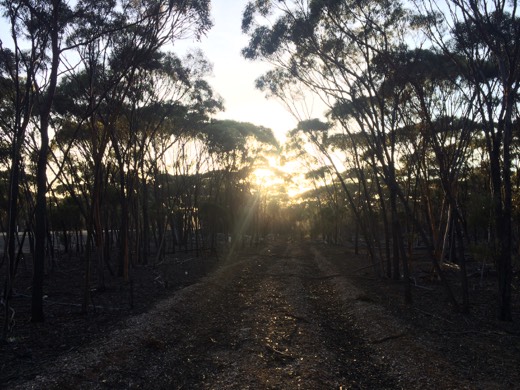 Hearts Across Australia Week 04 photo from 8 Jun 2015.