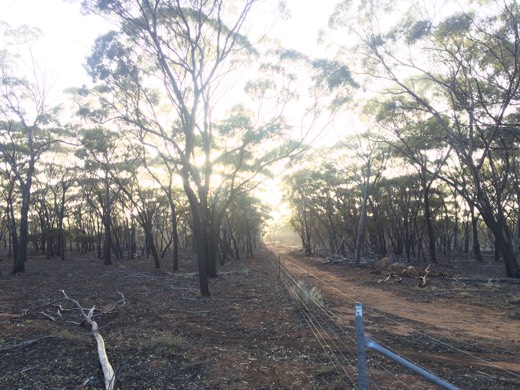 Hearts Across Australia Week 04 photo from 8 Jun 2015.