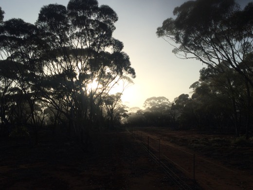 Hearts Across Australia Week 04 photo from 8 Jun 2015.