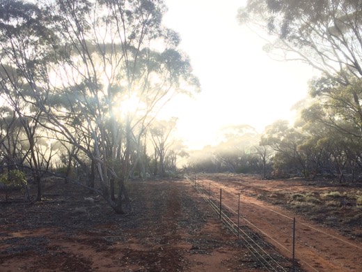 Hearts Across Australia Week 04 photo from 8 Jun 2015.