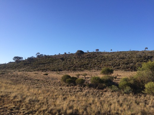 Hearts Across Australia Week 04 photo from 8 Jun 2015.
