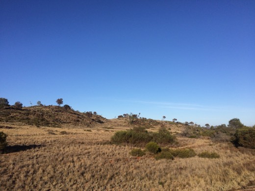 Hearts Across Australia Week 04 photo from 8 Jun 2015.