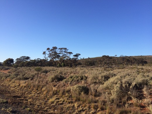 Hearts Across Australia Week 04 photo from 8 Jun 2015.