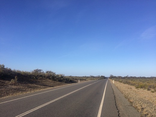 Long straight view along the Eyre Highway in the afternoon