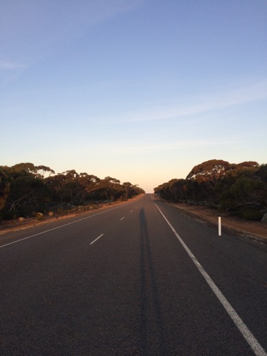 Eyre Highway in late afternoon light with trees on both sides
