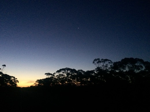 Last glow of sunset through trees at the end of Day 24