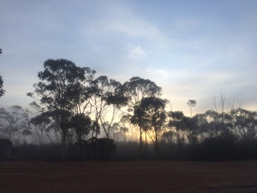 Hearts Across Australia Week 04 photo from 9 Jun 2015.