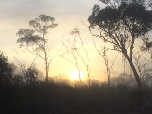 Hearts Across Australia Week 04 photo from 9 Jun 2015.