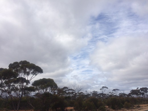 Hearts Across Australia Week 04 photo from 9 Jun 2015.