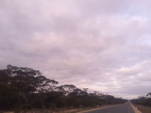 Hearts Across Australia Week 04 photo from 9 Jun 2015.