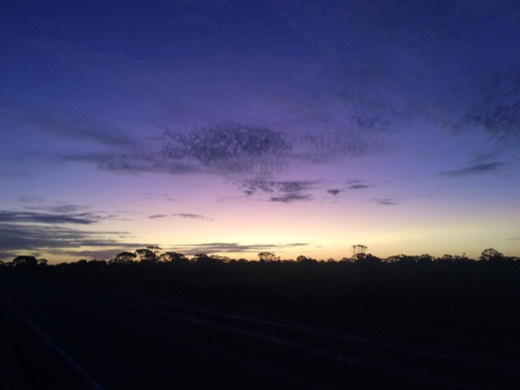 Retrospective Day 26 photo of purple evening sky after the walk.
