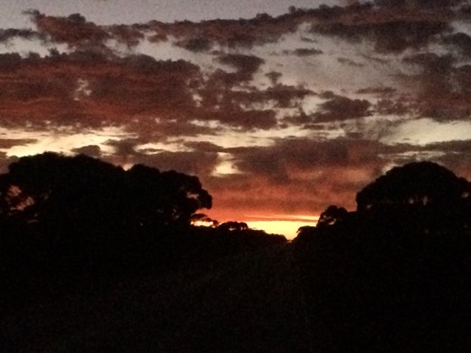 Hearts Across Australia Week 04 photo from 12 Jun 2015.