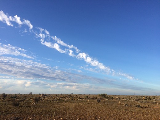 Hearts Across Australia Week 04 photo from 12 Jun 2015.