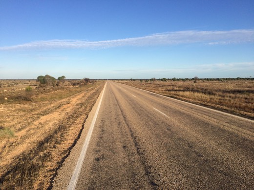 A straight dirt service track beside the Eyre Highway