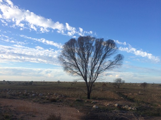 Hearts Across Australia Week 04 photo from 12 Jun 2015.