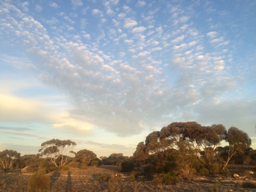 Hearts Across Australia Week 05 photo from 13 Jun 2015.