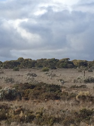 Hearts Across Australia Week 05 photo from 15 Jun 2015.
