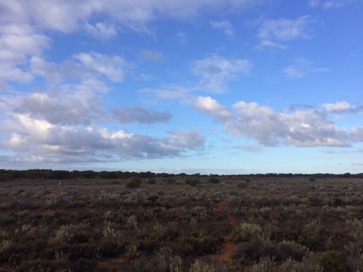 Hearts Across Australia Week 05 photo from 16 Jun 2015.