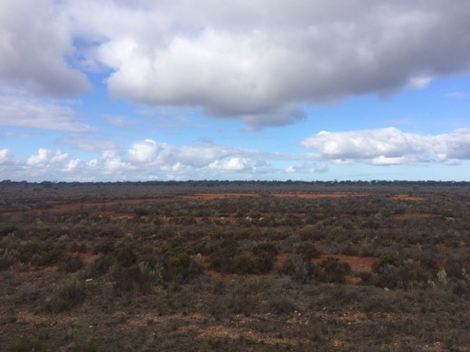 Hearts Across Australia Week 05 photo from 16 Jun 2015.