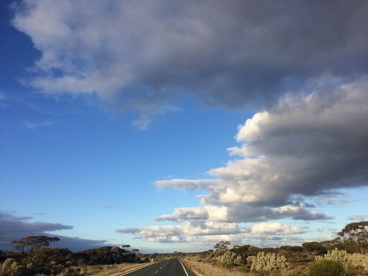 Late afternoon light over the Eyre Highway near the Moonera Tank stretch