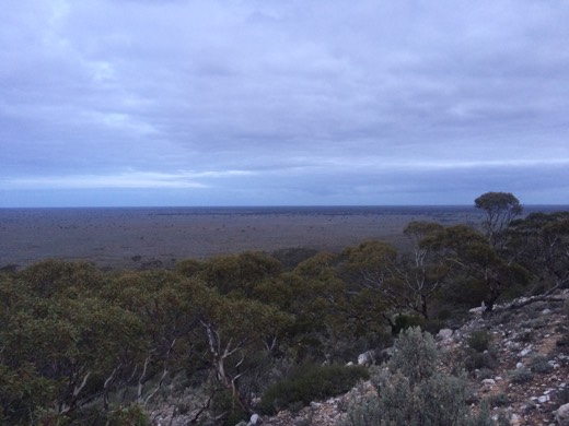 Hearts Across Australia Week 05 photo from 17 Jun 2015.